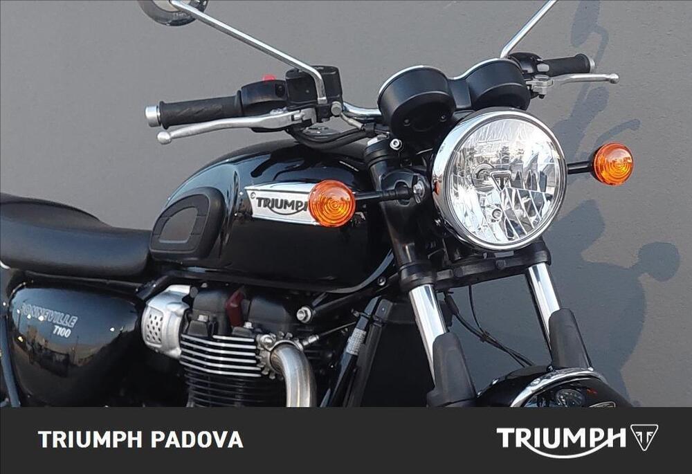 Triumph Bonneville T100 (2021 - 24) (5)