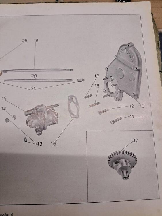 POMPA OLIO COMPLETA E COPERCHIO LATO DISTRIBUZIONE Moto Guzzi (3)