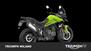 Triumph Tiger 850 Sport (2021 - 24) (6)