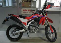 Honda CRF 300 L (2021 - 24) usata