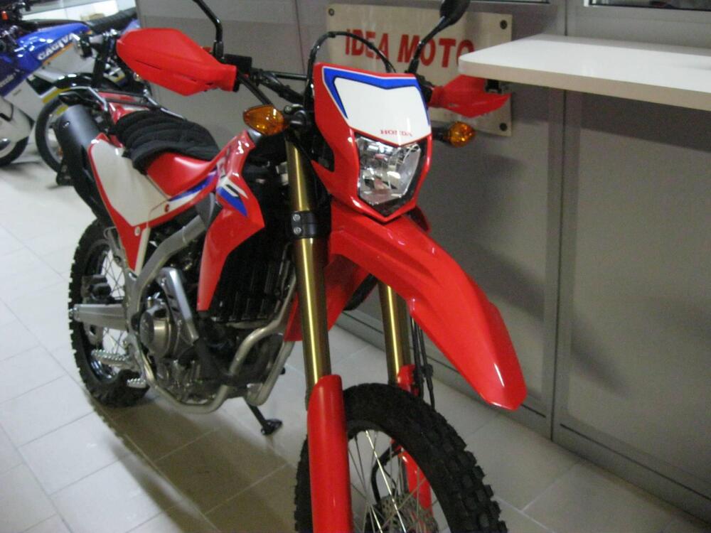 Honda CRF 300 L (2021 - 24) (5)