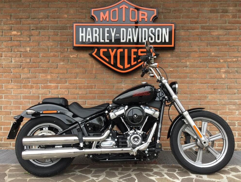 Harley-Davidson Softail Standard (2021 - 24)