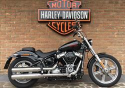 Harley-Davidson Softail Standard (2021 - 24) usata