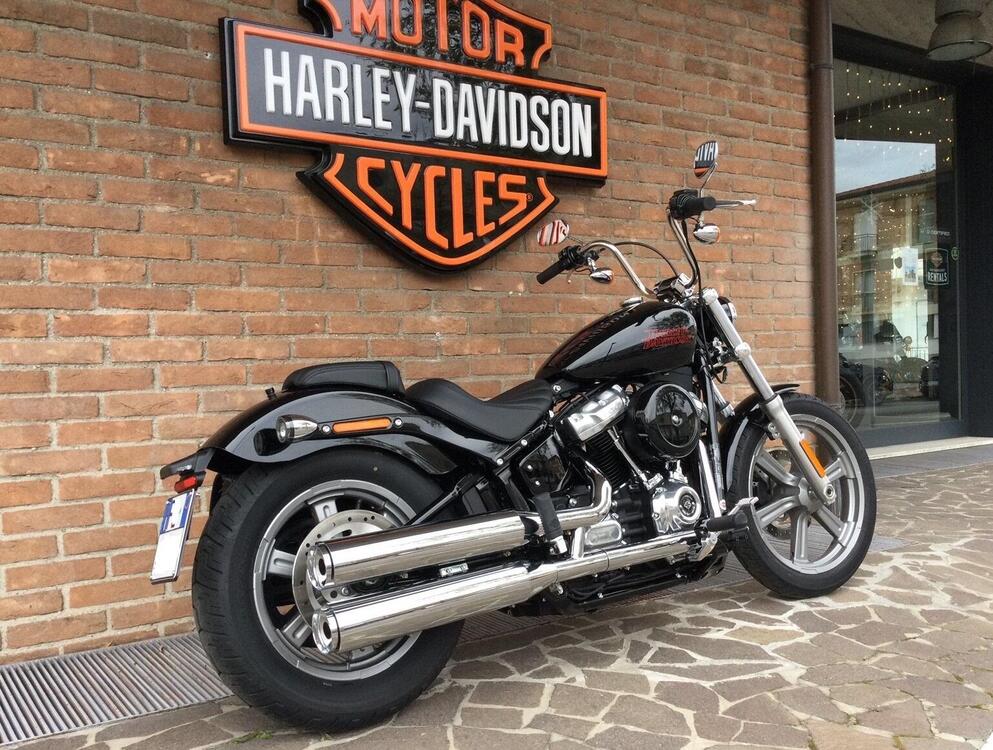 Harley-Davidson Softail Standard (2021 - 24) (2)