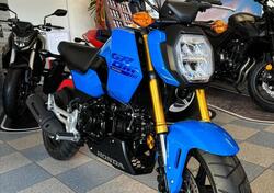 Honda MSX 125 Grom (2021 - 24) nuova