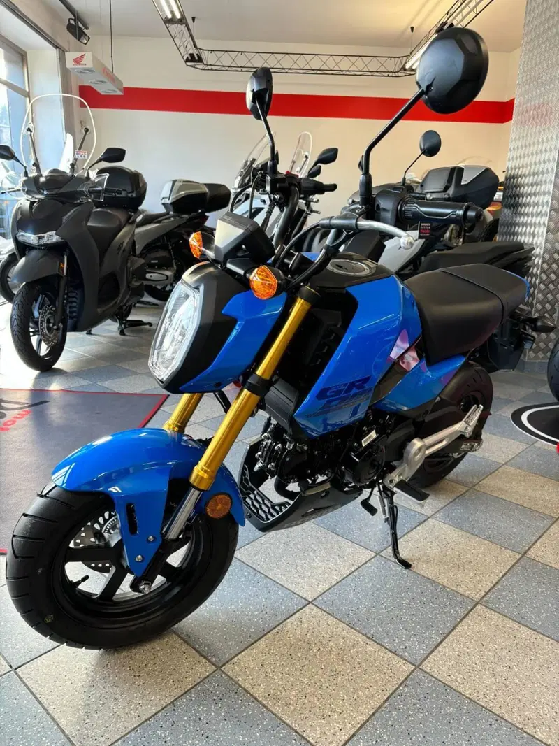 Honda MSX 125 Grom (2021 - 26) (3)
