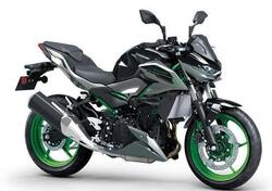 Kawasaki Z 500 SE (2024 - 25) nuova