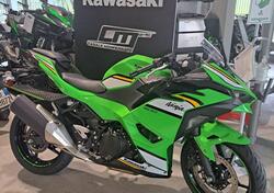 Kawasaki Ninja 500 SE (2024 - 25) nuova