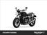 Triumph Speed Twin 1200 Stealth Edition (2024) (6)