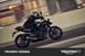 Triumph Street Triple R (2020 - 23) (31)