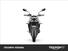 Triumph Street Triple R (2020 - 23) (6)