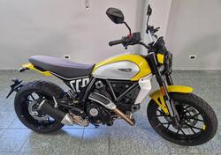 Ducati Scrambler 800 Icon (2023 - 24) usata