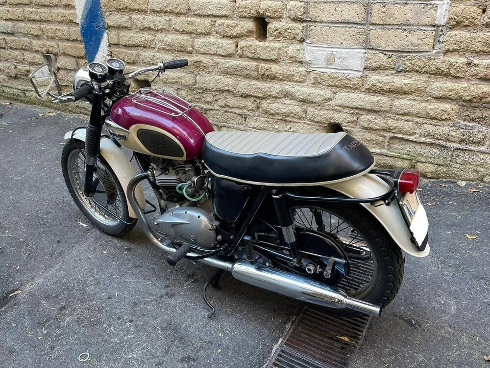 Triumph Bonneville T120 (4)