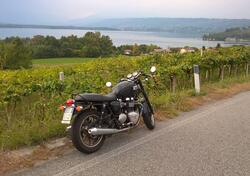 Triumph Bonneville 800 (2002 - 07) usata