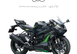 Kawasaki Ninja 636 ZX-6R (2024 - 25) nuova