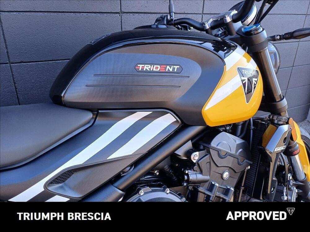 Triumph Trident 660 (2021 - 24) (5)