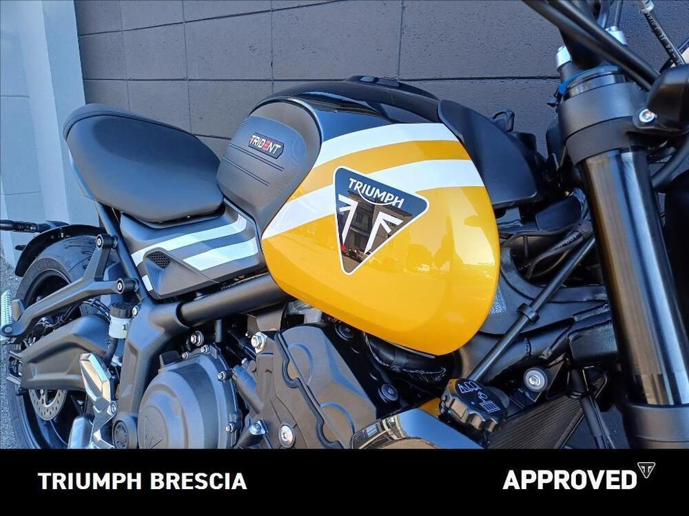 Triumph Trident 660 (2021 - 24) (4)