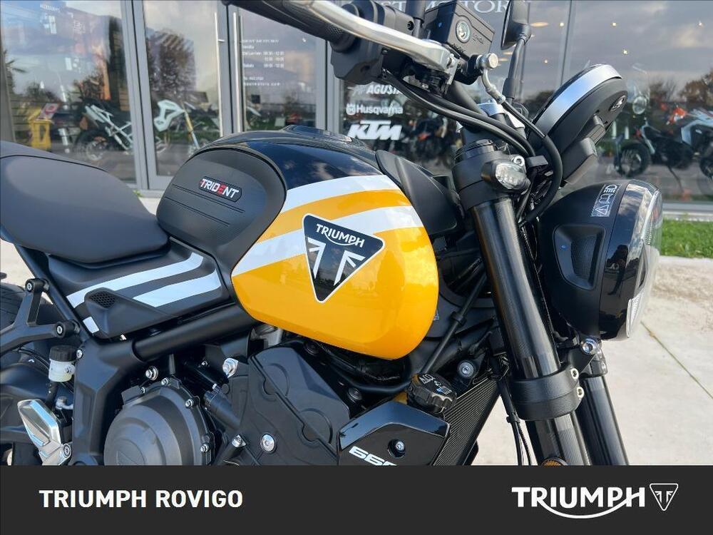 Triumph Trident 660 (2021 - 24) (2)