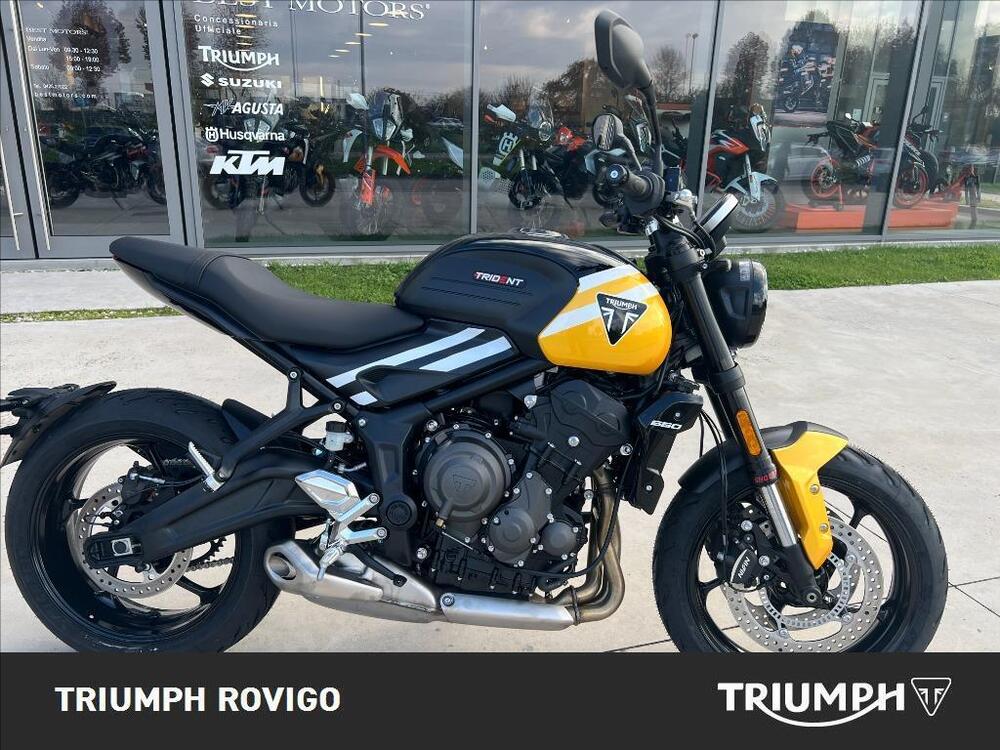 Triumph Trident 660 (2021 - 24)