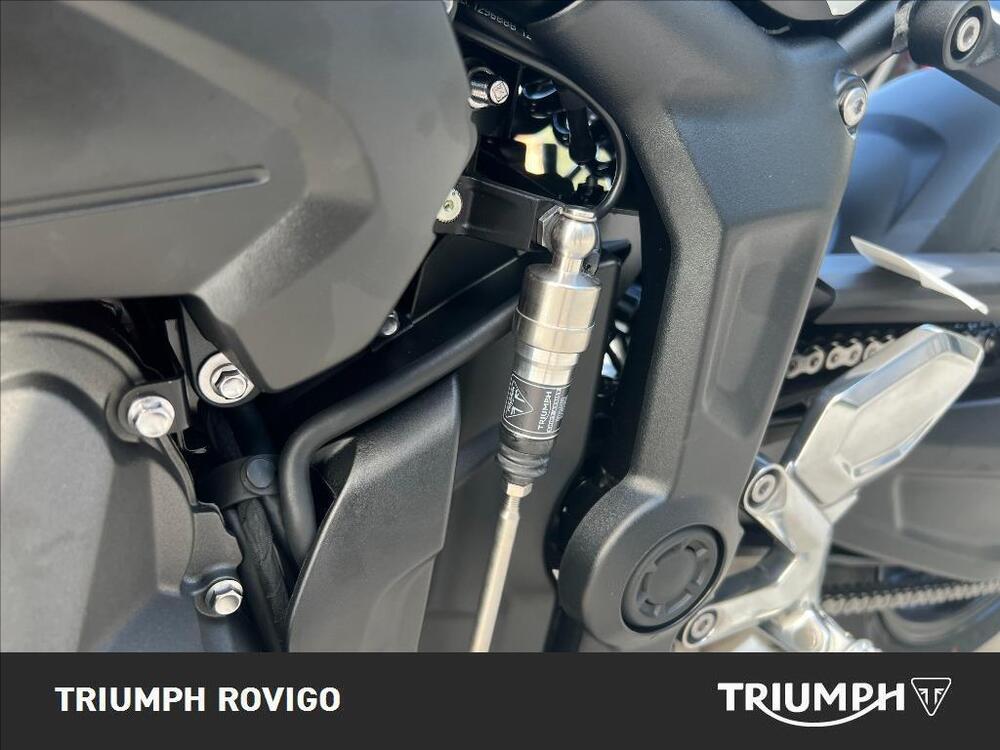 Triumph Trident 660 (2021 - 24) (3)