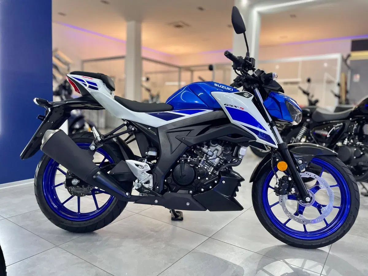 Suzuki GSX-S125 (2025 - 26) (2)