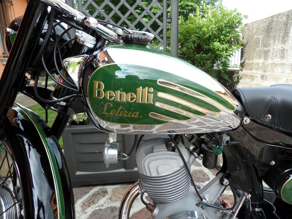 Benelli letizia (3)