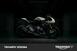 Triumph Speed Triple 1200 RR (2022 - 24) (8)