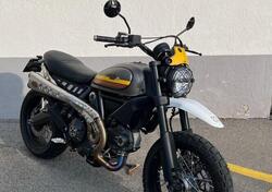 Ducati Scrambler 800 Urban Enduro (2015 - 16) usata