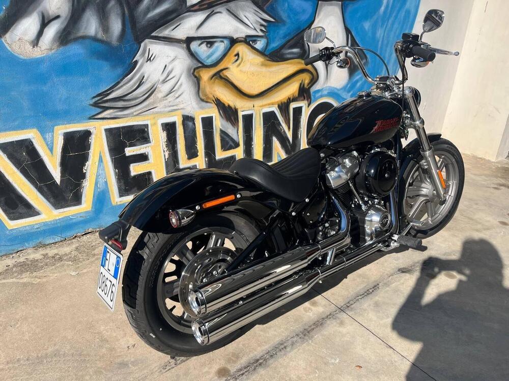 Harley-Davidson Softail Standard (2021 - 24) (2)