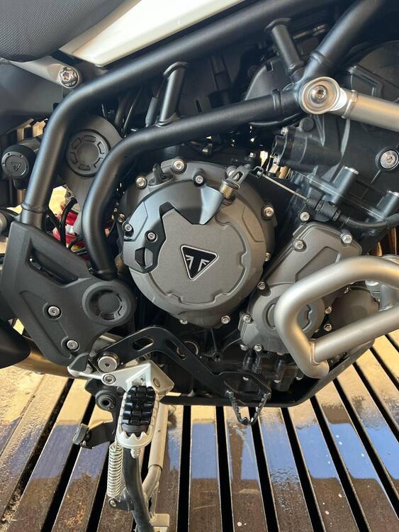 Triumph Tiger 900 GT Pro (2020 - 23) (2)