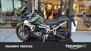 Triumph Tiger 900 Rally Pro (2024) (6)