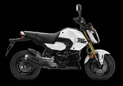 Honda MSX 125 Grom (2021 - 24) nuova