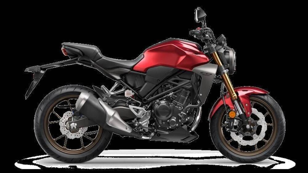 Honda CB 300 R (2022 - 25) (3)