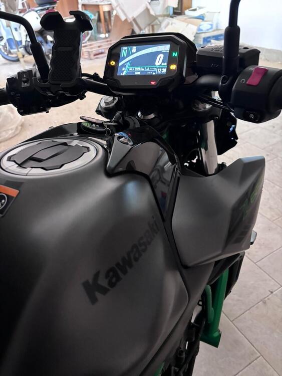 Kawasaki Z 650 Sport (2021 - 24) (4)