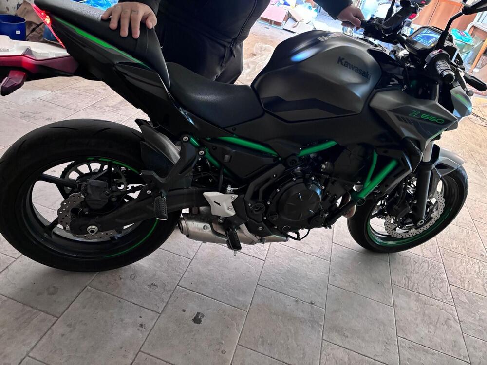 Kawasaki Z 650 Sport (2021 - 24) (5)