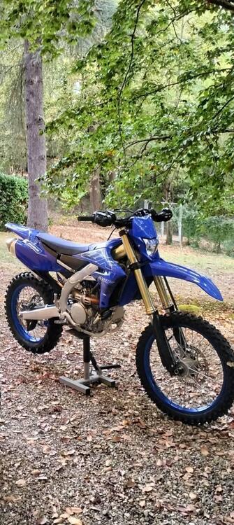 Yamaha WR 250 F (2022 - 24)