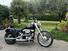 Harley-Davidson 1340 Custom (1989 - 98) (14)