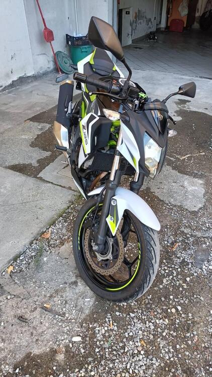 Kawasaki Z 125 (2019 - 20) (2)