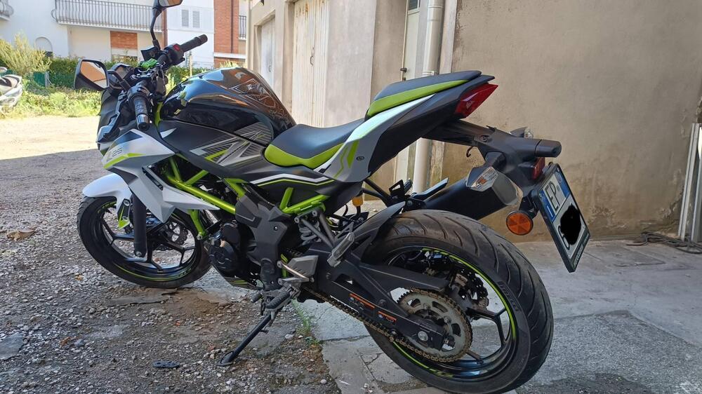 Kawasaki Z 125 (2019 - 20) (4)