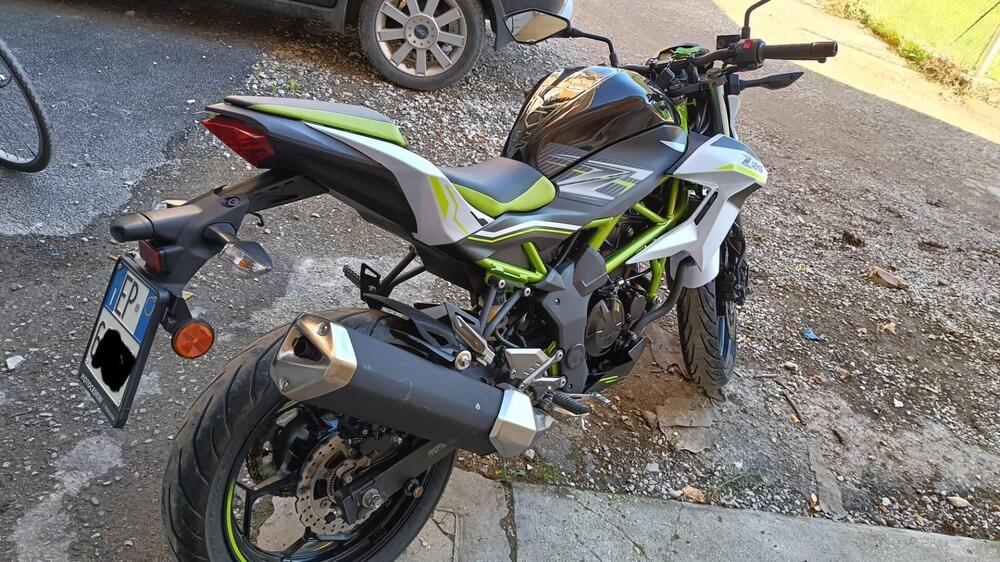 Kawasaki Z 125 (2019 - 20) (5)