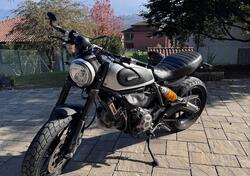 Ducati Scrambler 800 Icon (2015 - 16) usata