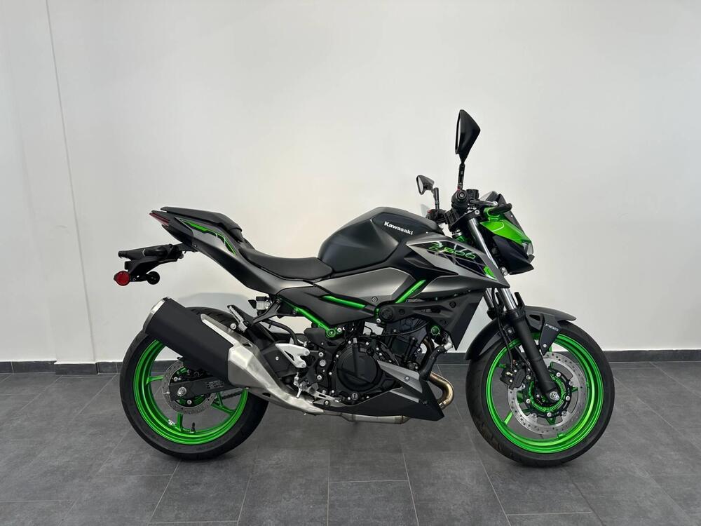 Kawasaki Z 500 SE (2024 - 25) (2)