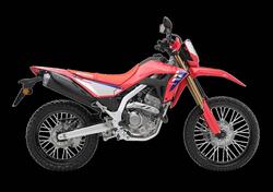 Honda CRF 300 L (2021 - 24) nuova