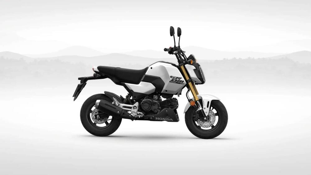 Honda MSX 125 Grom (2021 - 24)