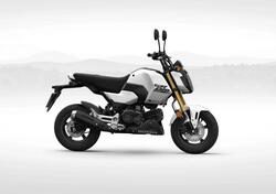 Honda MSX 125 Grom (2021 - 24) nuova