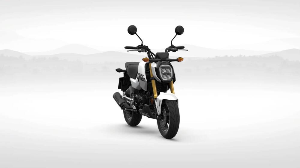 Honda MSX 125 Grom (2021 - 24) (2)