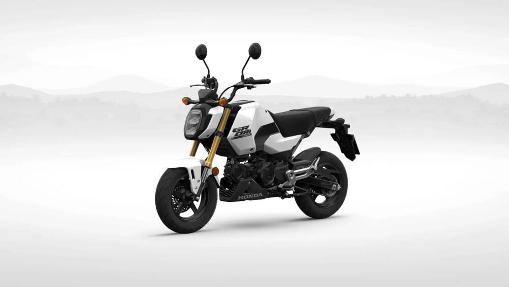 Honda MSX 125 Grom (2021 - 24) (3)