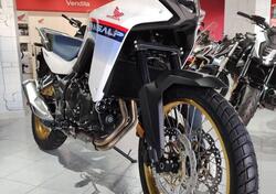 Honda Transalp XL750 (2023 - 24) nuova