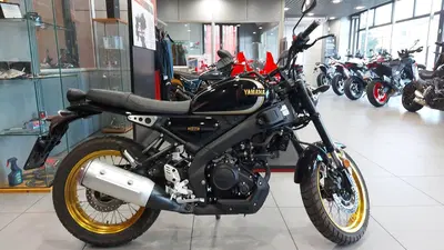 Yamaha XSR 125 Legacy (2022 - 24) usata