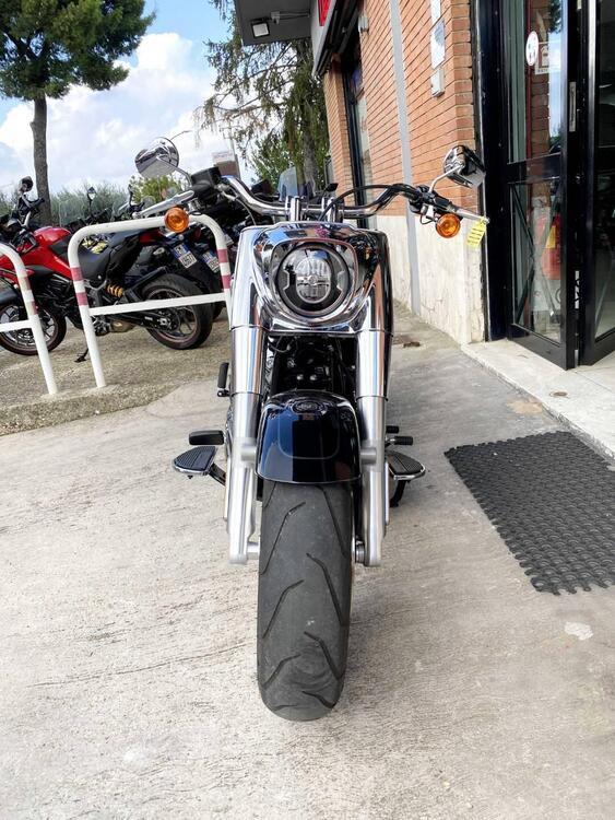 Harley-Davidson Street Bob 114 (2021 - 24) (3)